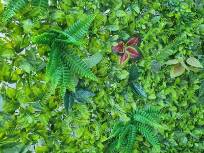 Close up of greenery backdrop for hire